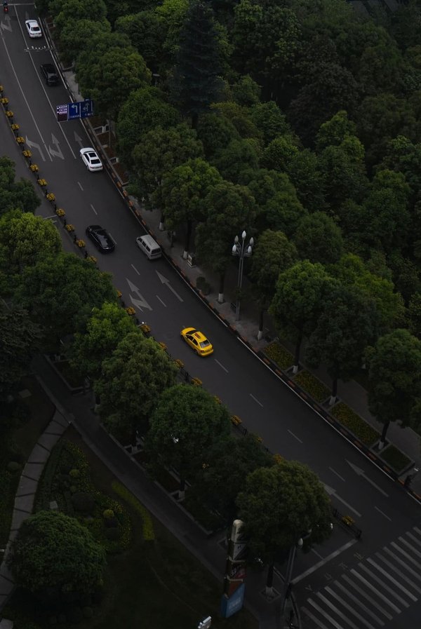 La perturbation des lignes de transport et les impacts au niveau scolaire